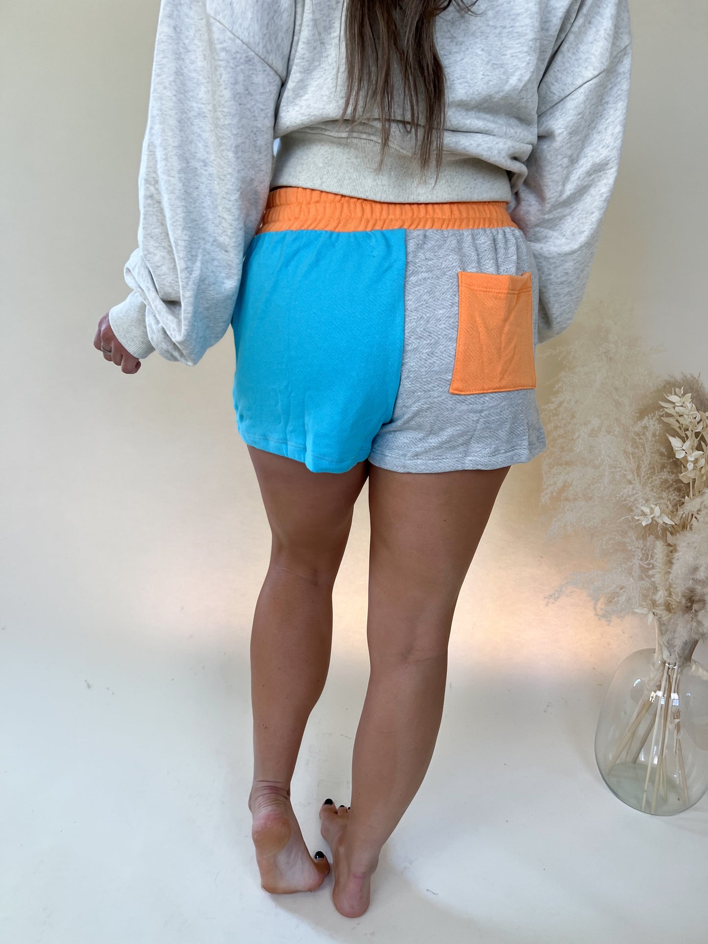 Way Up Colorblock Shorts