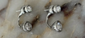 Sage Earrings | Silver
